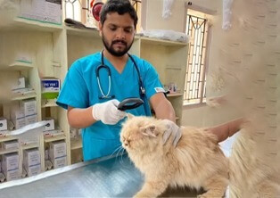 pet dermatology clinic in vizag